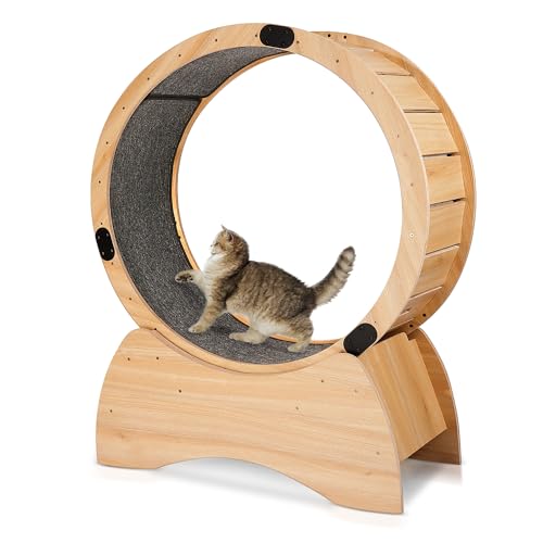 Large Wooden Cat Exercise Wheel with Lock Feature D4728