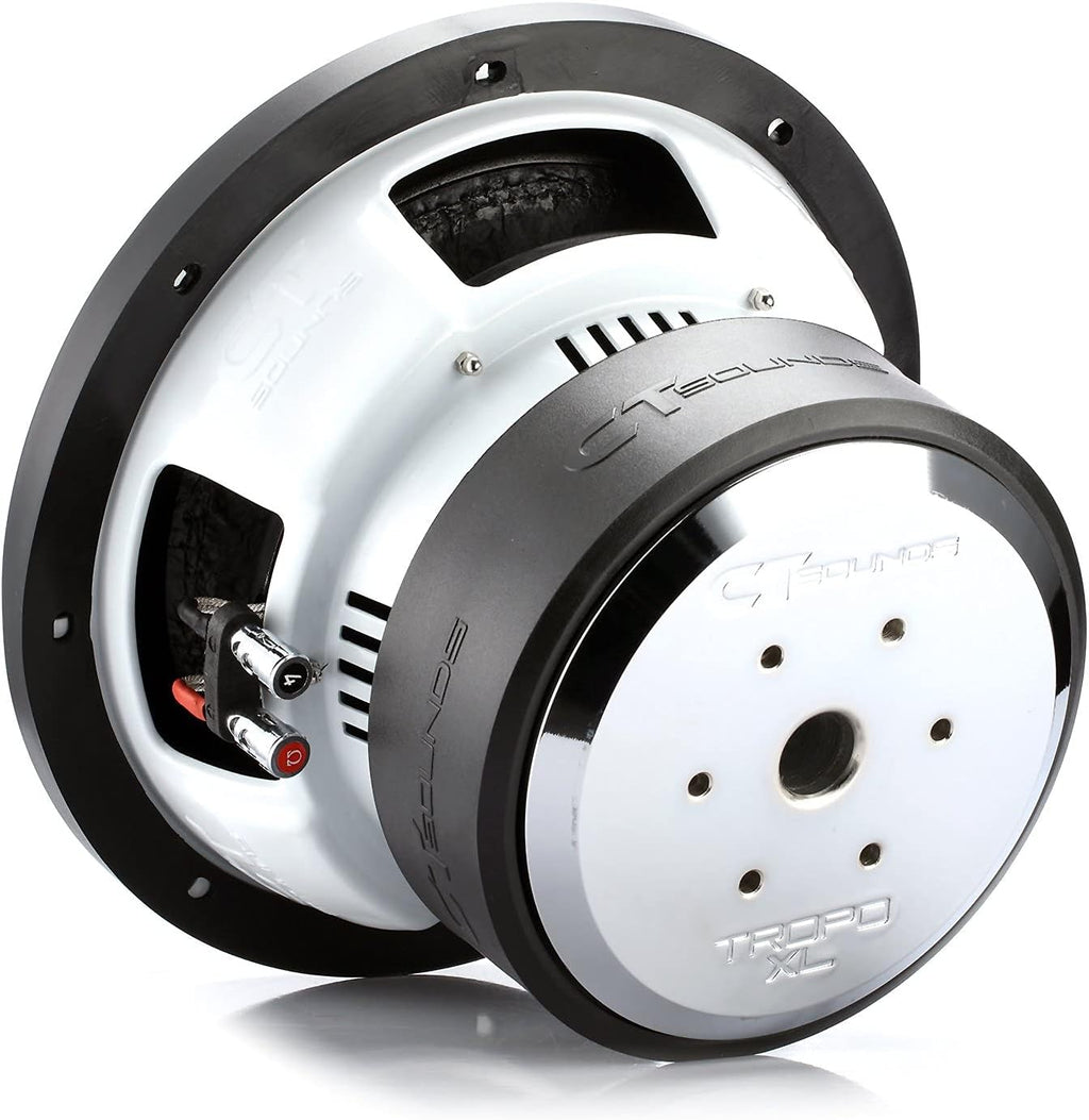 10 Inch 2000 Watts Max Dual 4 Ohm Car Subwoofer I3338