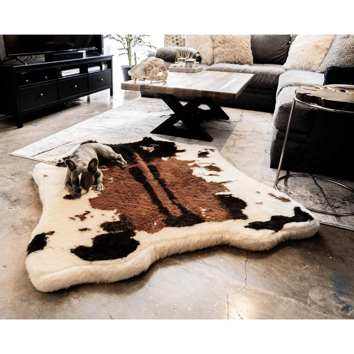Animal Print Memory Foam Dog Bed F384785
