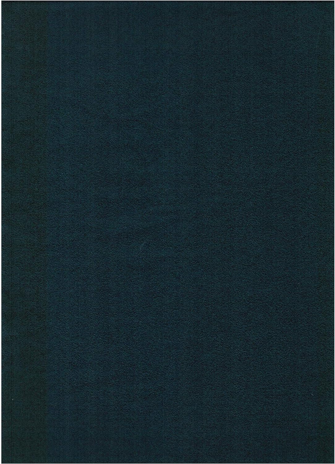 Blue Suede Fabric Futon Mattress W448520