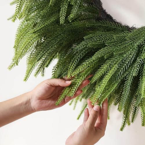 26" Artificial Norfolk Pine Wreath Z8225