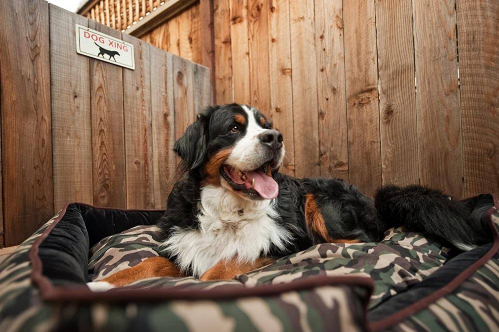 Camouflage Lounge Dog Bed - Green - Large K149