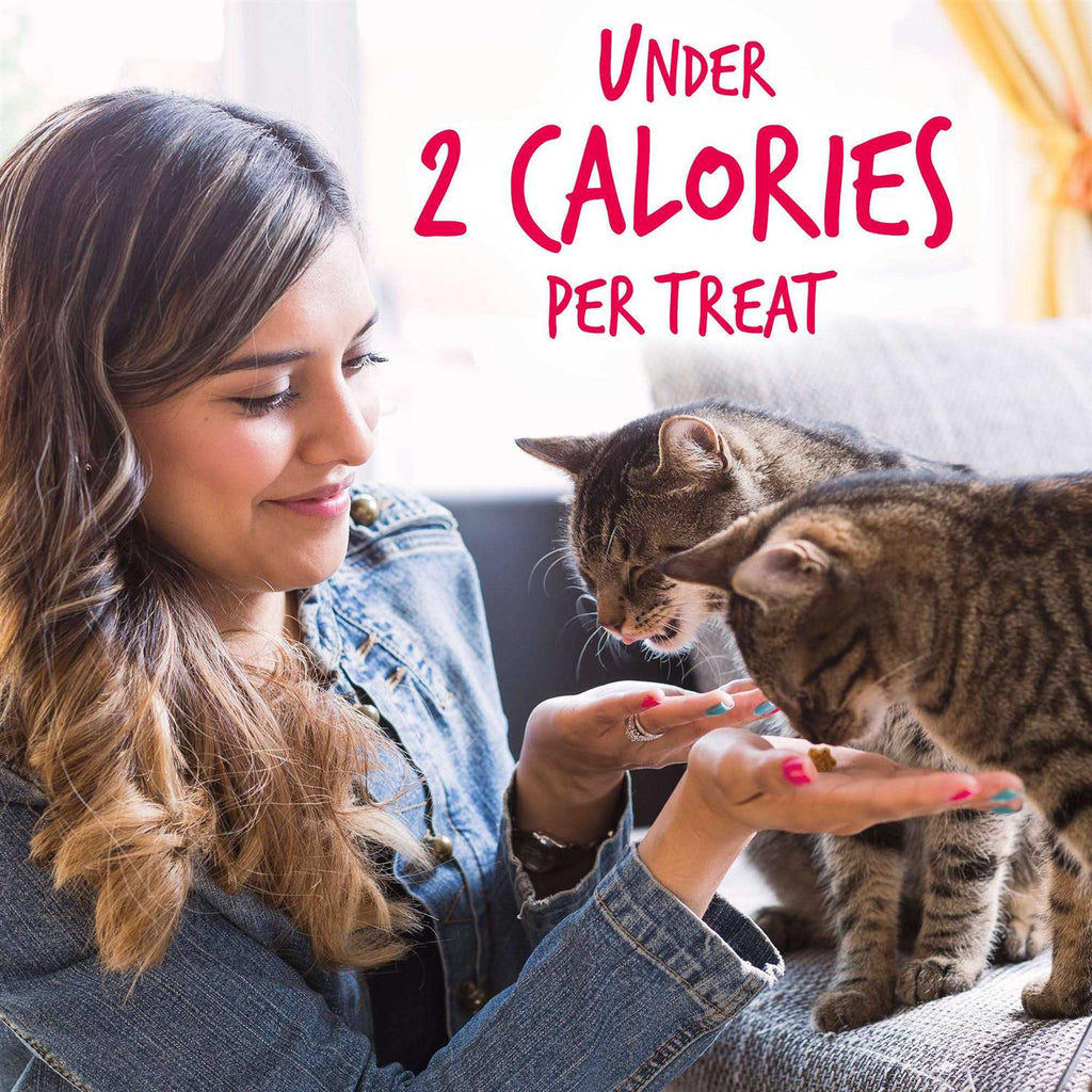 Salmon Cranberry Crunchy Cat Treats L964