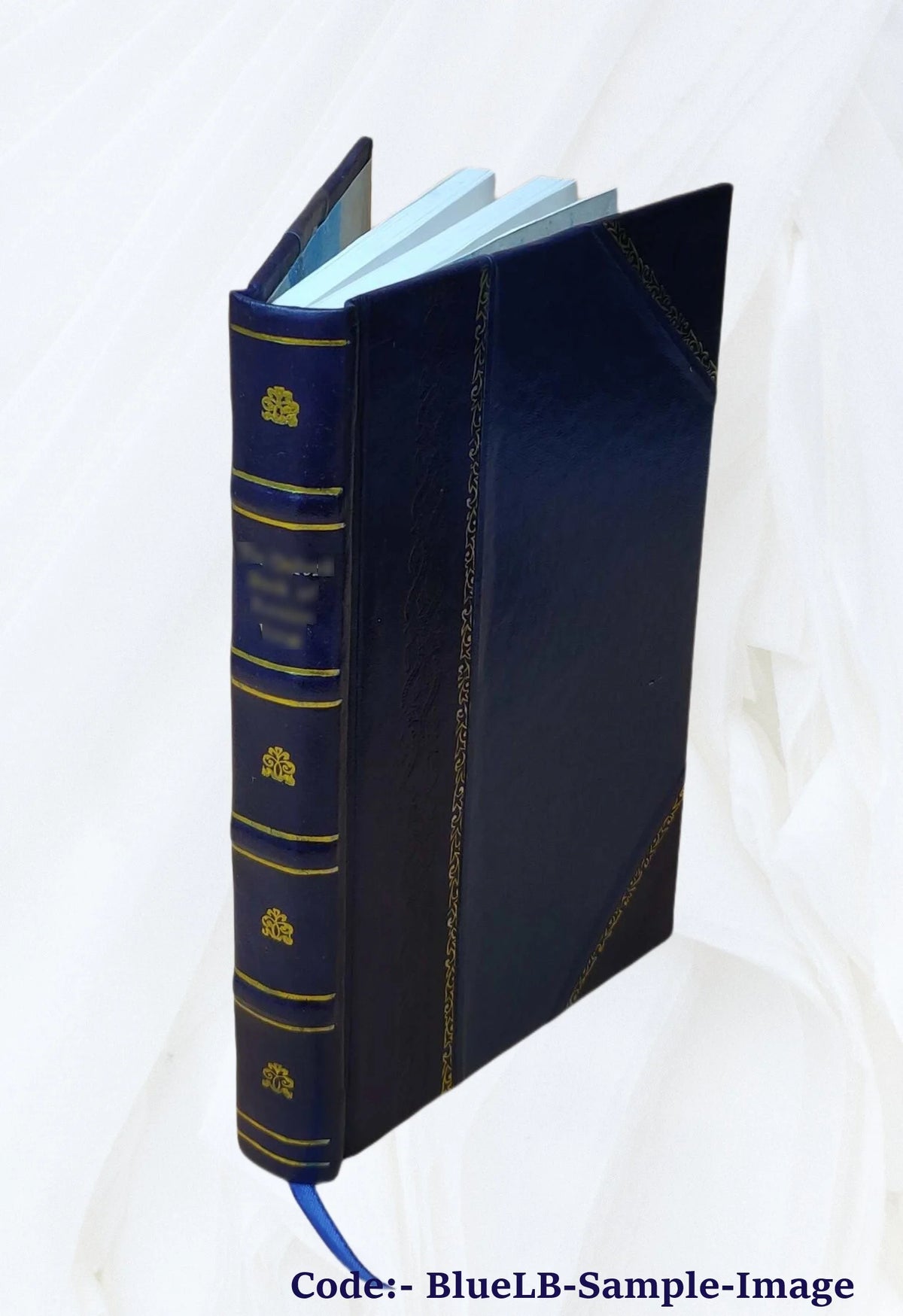 Leather Bound Yacht Voyage Round England 1870 P889