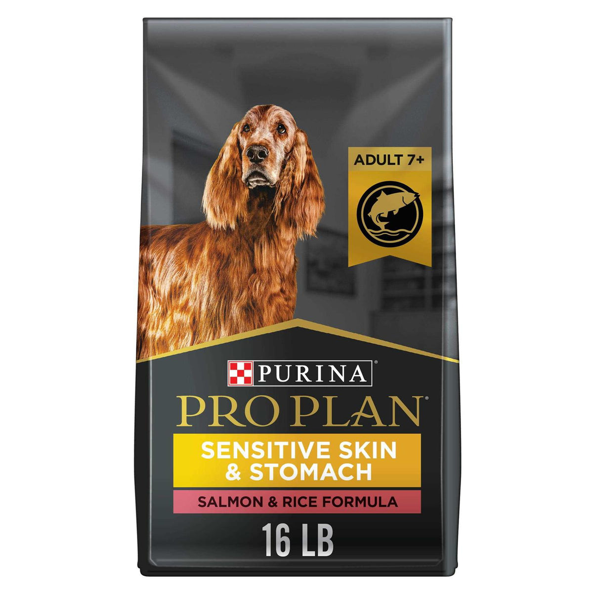 Senior Dry Dog Food Salmon & Rice Formula A616