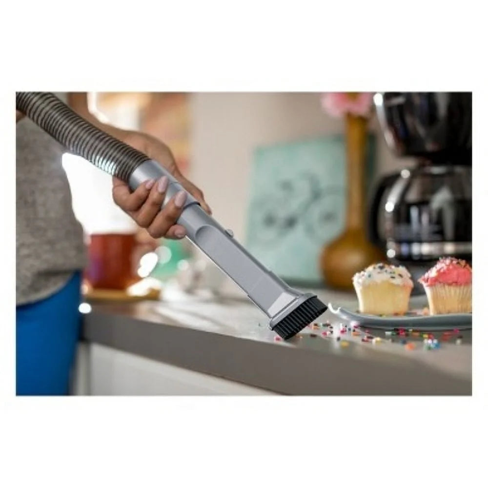 Upright Vacuum Q501632