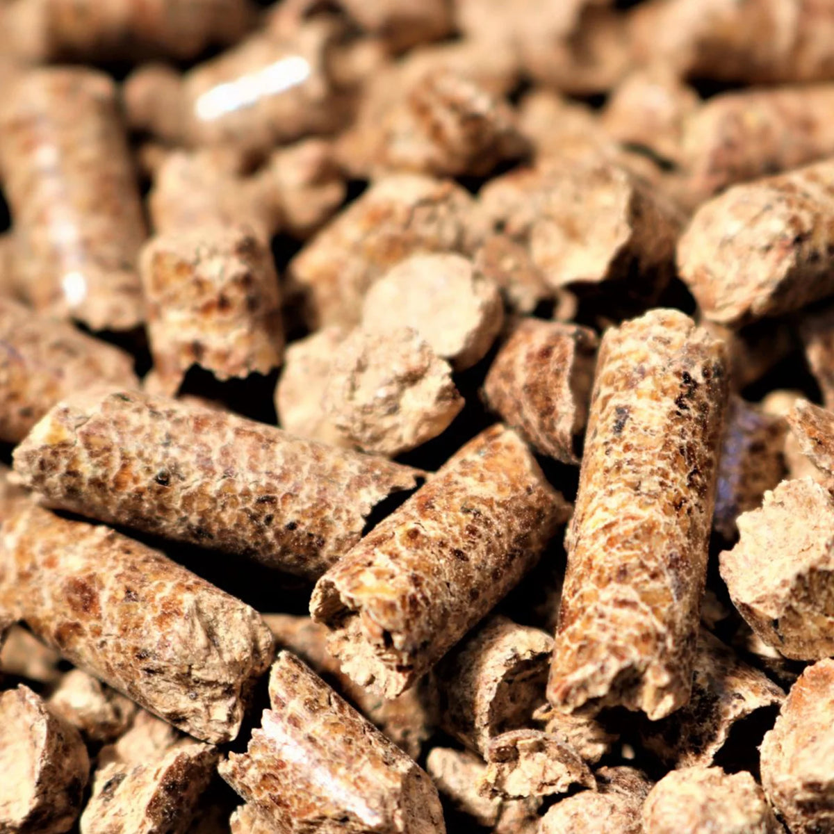 All Natural Hardwood Oak BBQ Smoker Pellets, 20 lbs (2 Pack) U247031