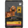 Senior Dry Dog Food Salmon & Rice Formula A616