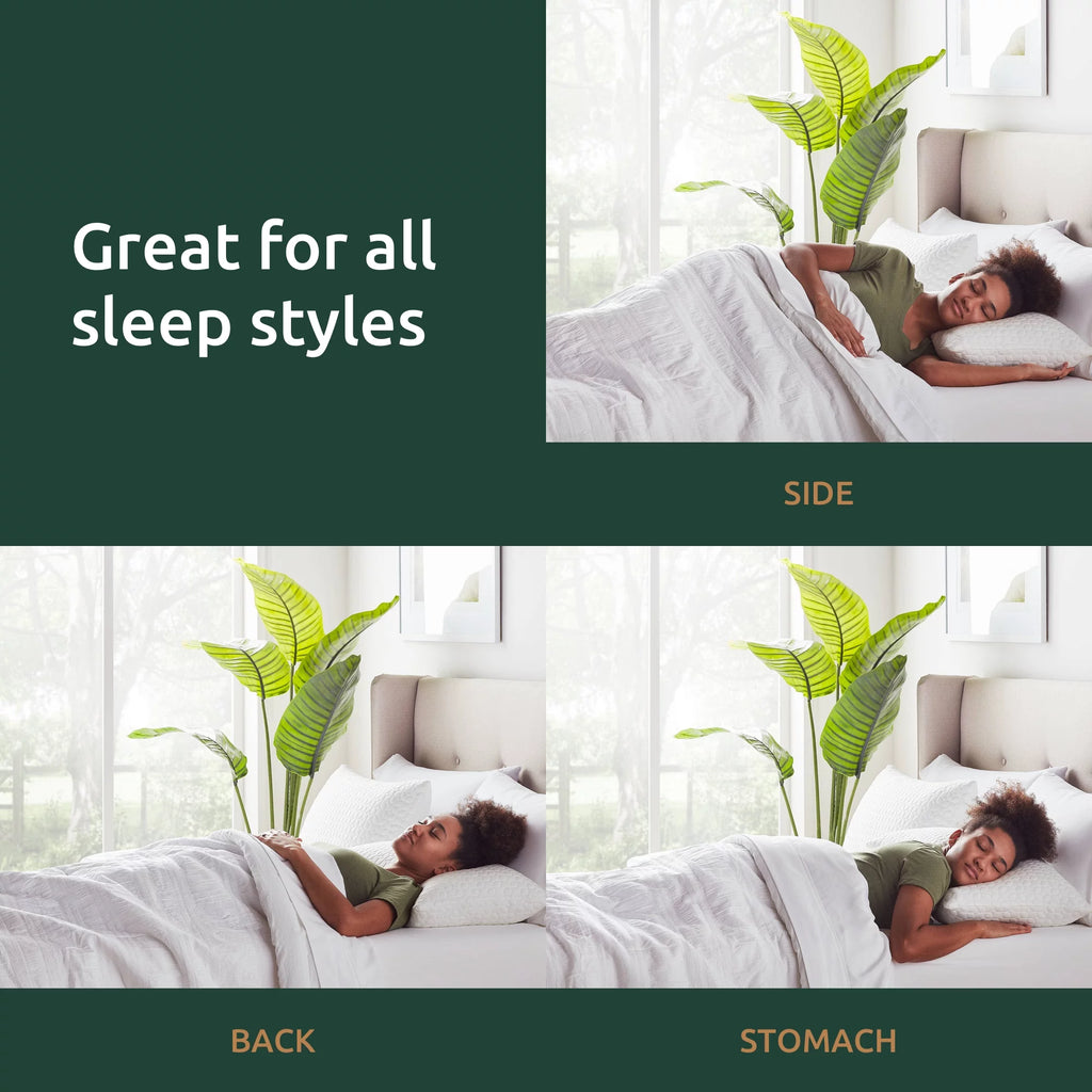 King 2 Pack Shredded Foam Bed Pillow J1149