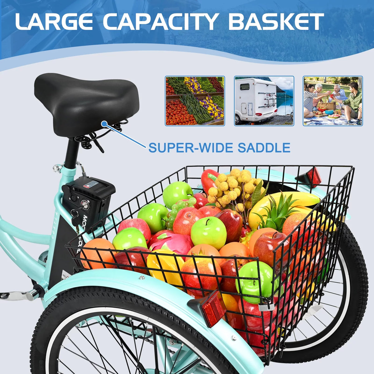 3 Wheel Electric Bike with Removable 36V 10Ah Lithium Battery Q11907