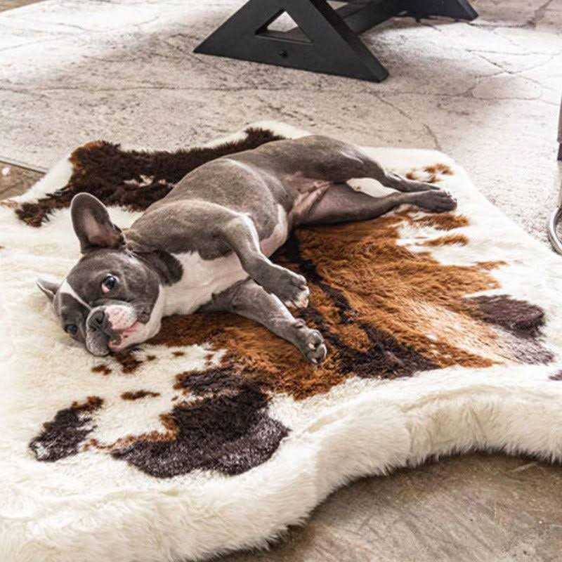 Animal Print Memory Foam Dog Bed F384785