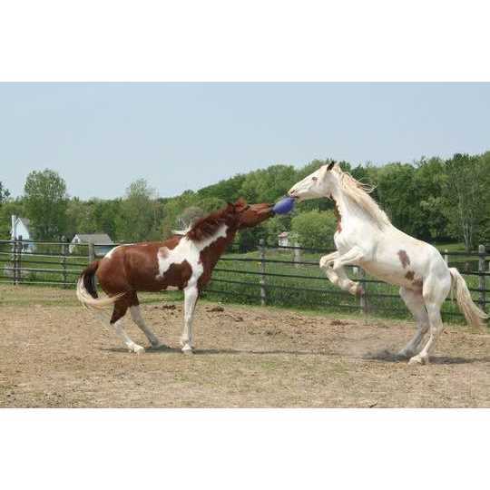 Horse Toy L88734