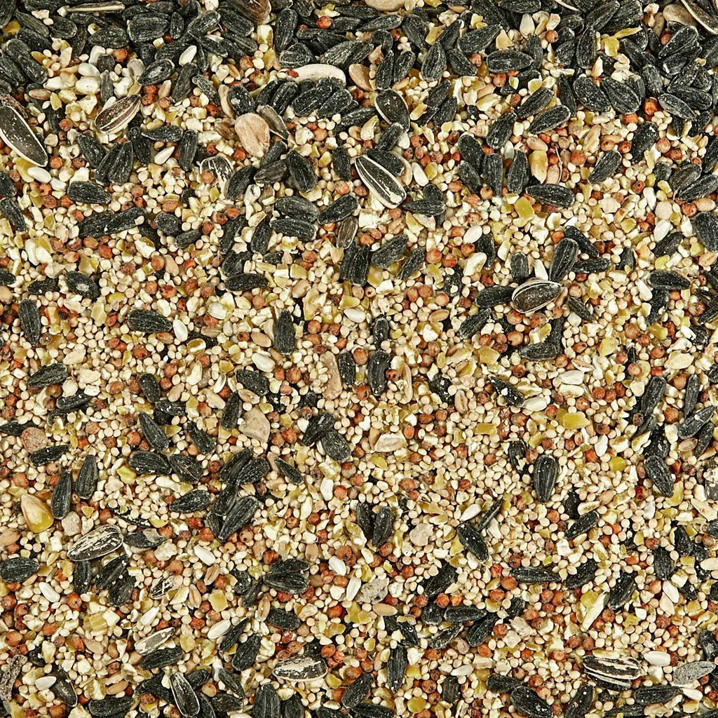 Kaytee Birders Blend Wild Bird Food L110500