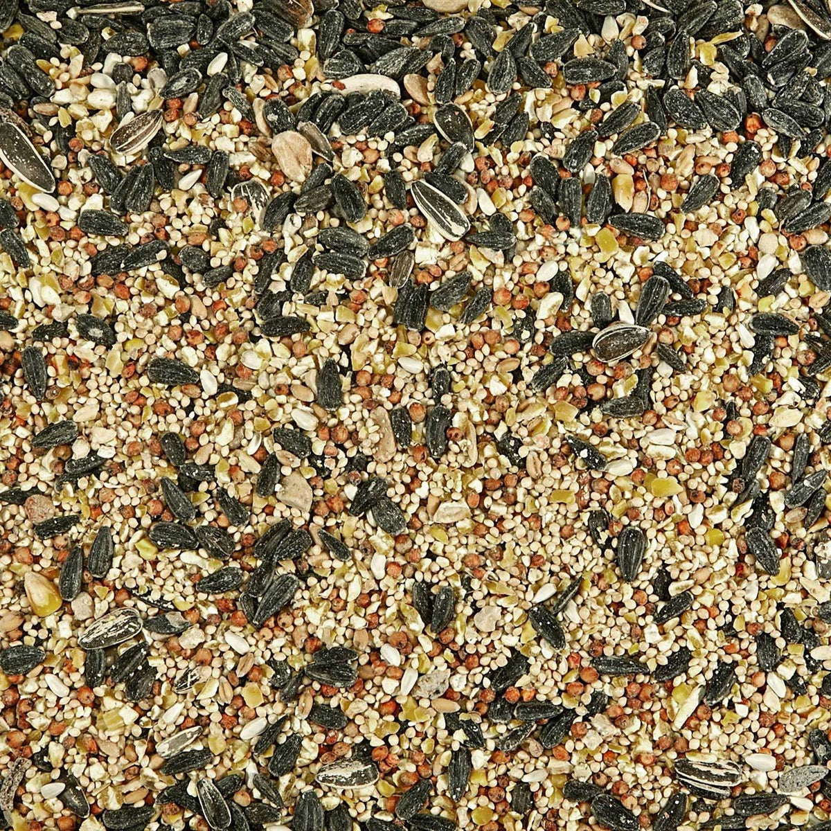 Kaytee Birders Blend Wild Bird Food L110500