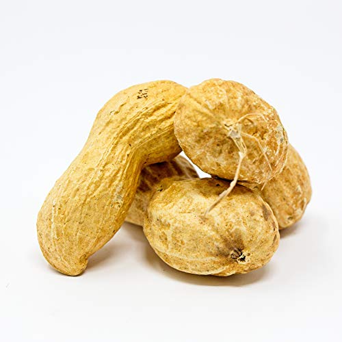 Whole in Shell Raw Peanuts 10lb R735855