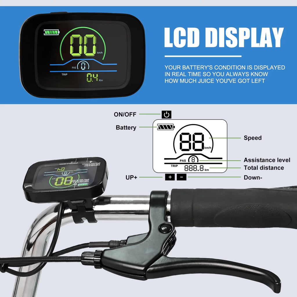 3 Wheel Electric Bike with Removable 36V 10Ah Lithium Battery Q11907
