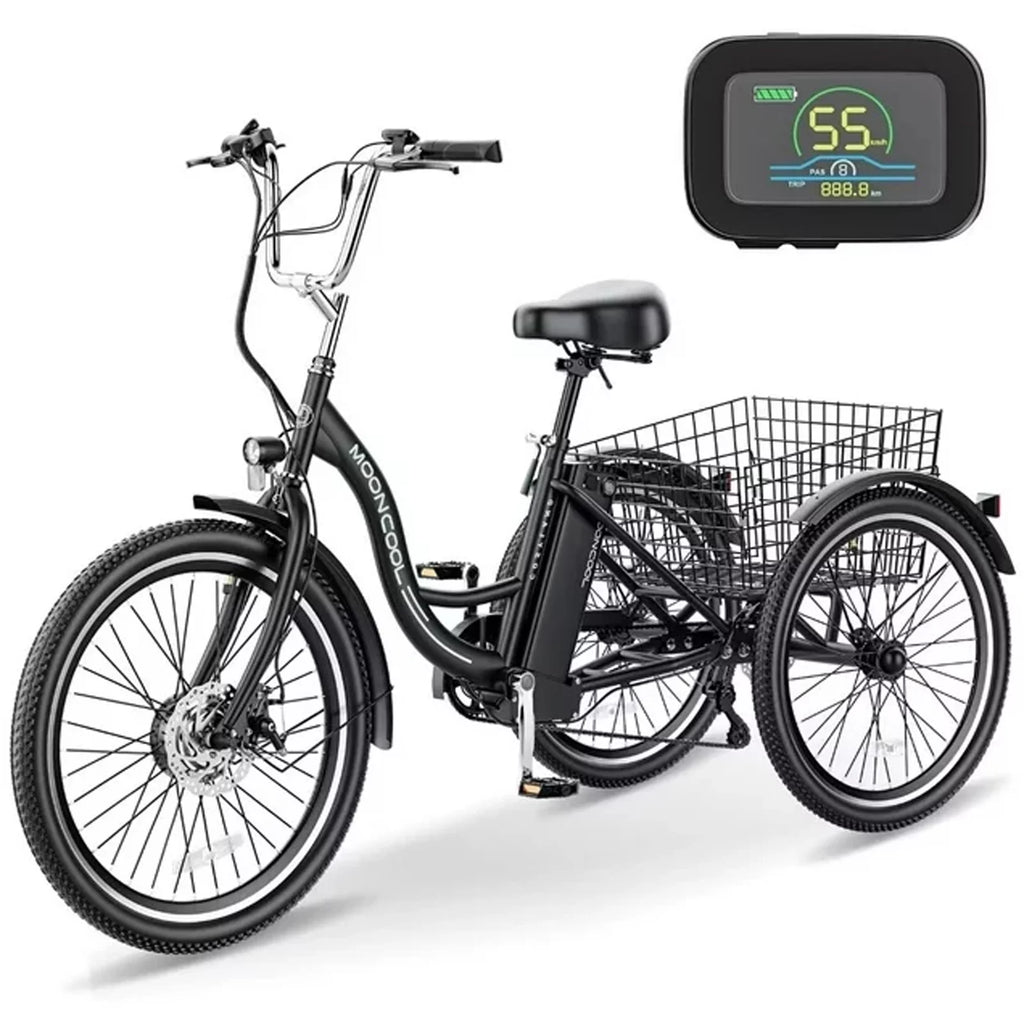 3 Wheel Electric Bike with Removable 36V 10Ah Lithium Battery Q11907