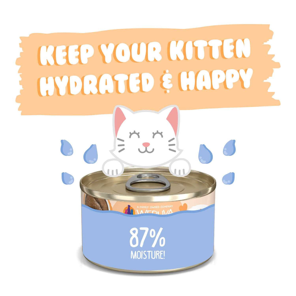Tuna & Salmon Puree Cat Food P5368