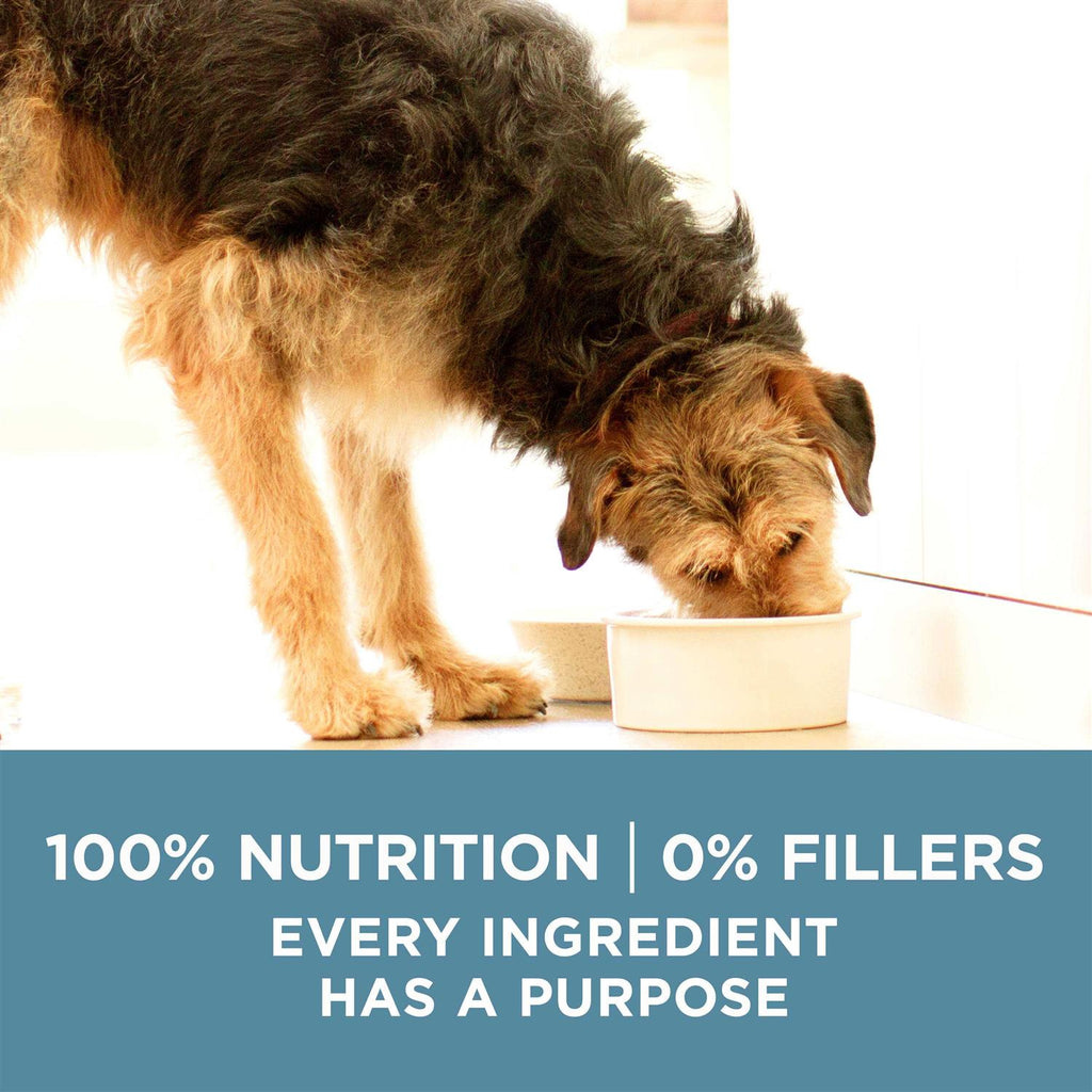 Dry Dog Food M10053