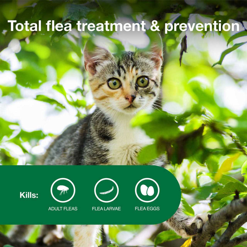 Advantage II Flea Treatment Cats V7542