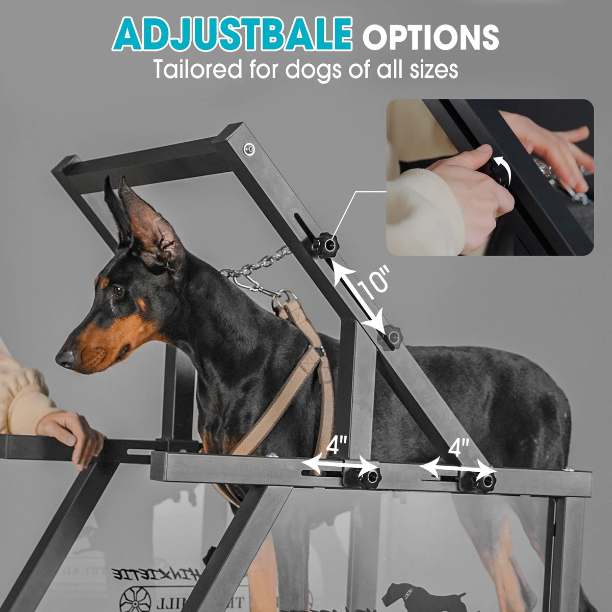 Dog Treadmill for Dogs up to 250 lb X728