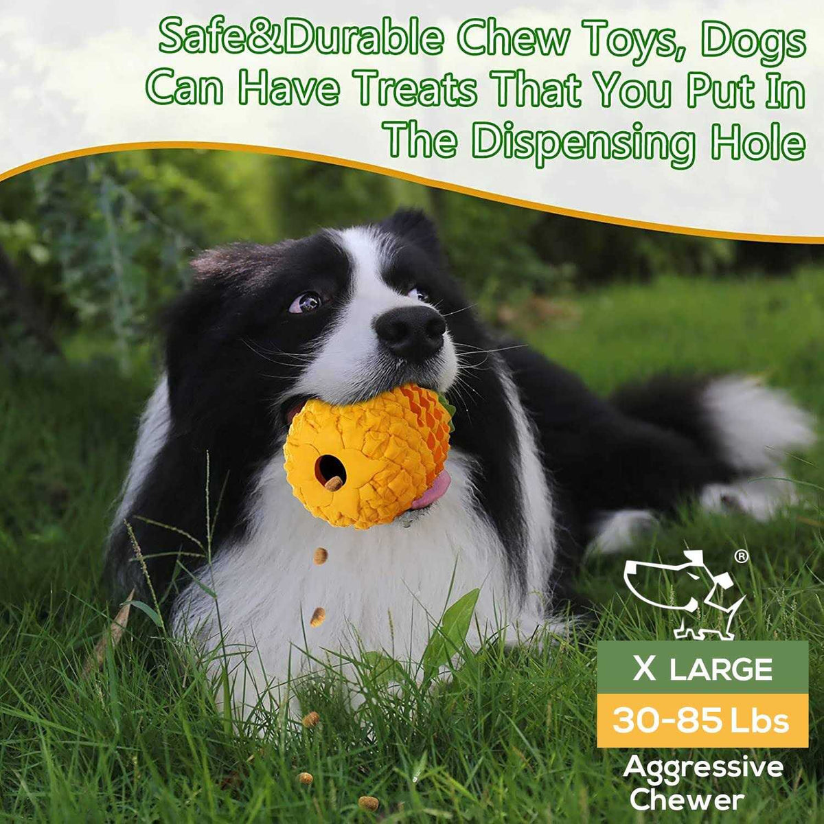 Dog Chew Toys Z674