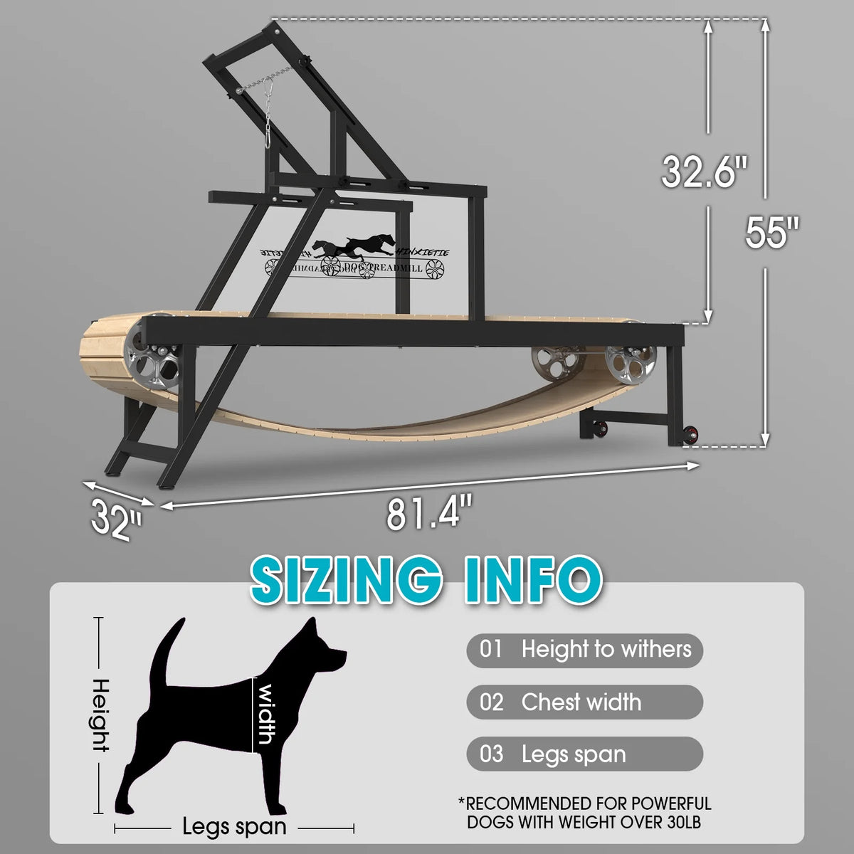 Dog Treadmill for Dogs up to 250 lb X728