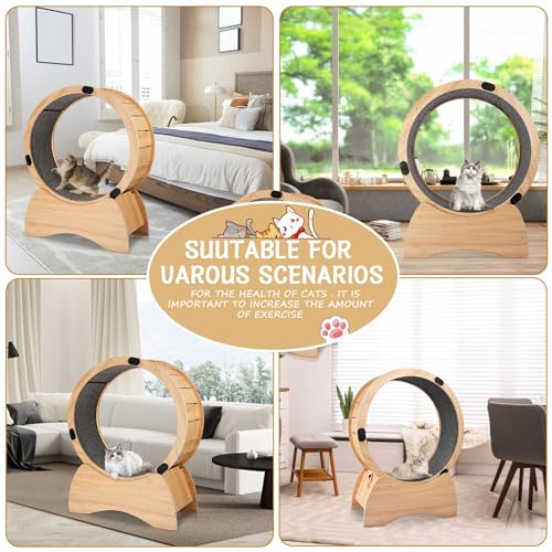 Large Wooden Cat Exercise Wheel with Lock Feature D4728