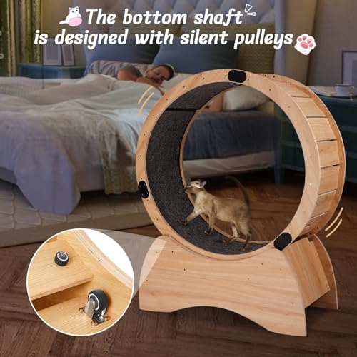 Large Wooden Cat Exercise Wheel with Lock Feature D4728