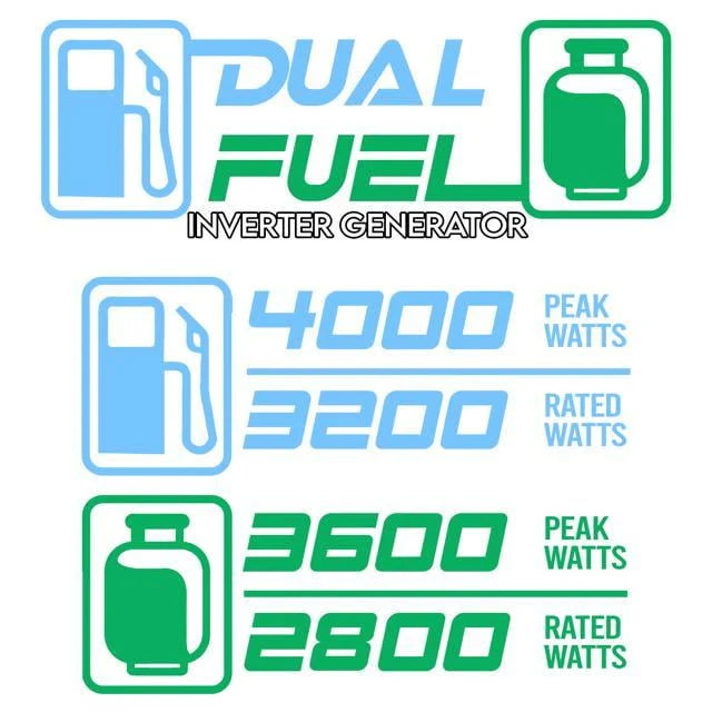 4000W Portable Dual Fuel Generator N78925
