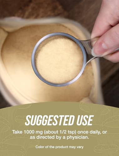 Shiitake Mushroom Extract Powder, 1000mg per Serving, 500g (1.1 lbs) M819