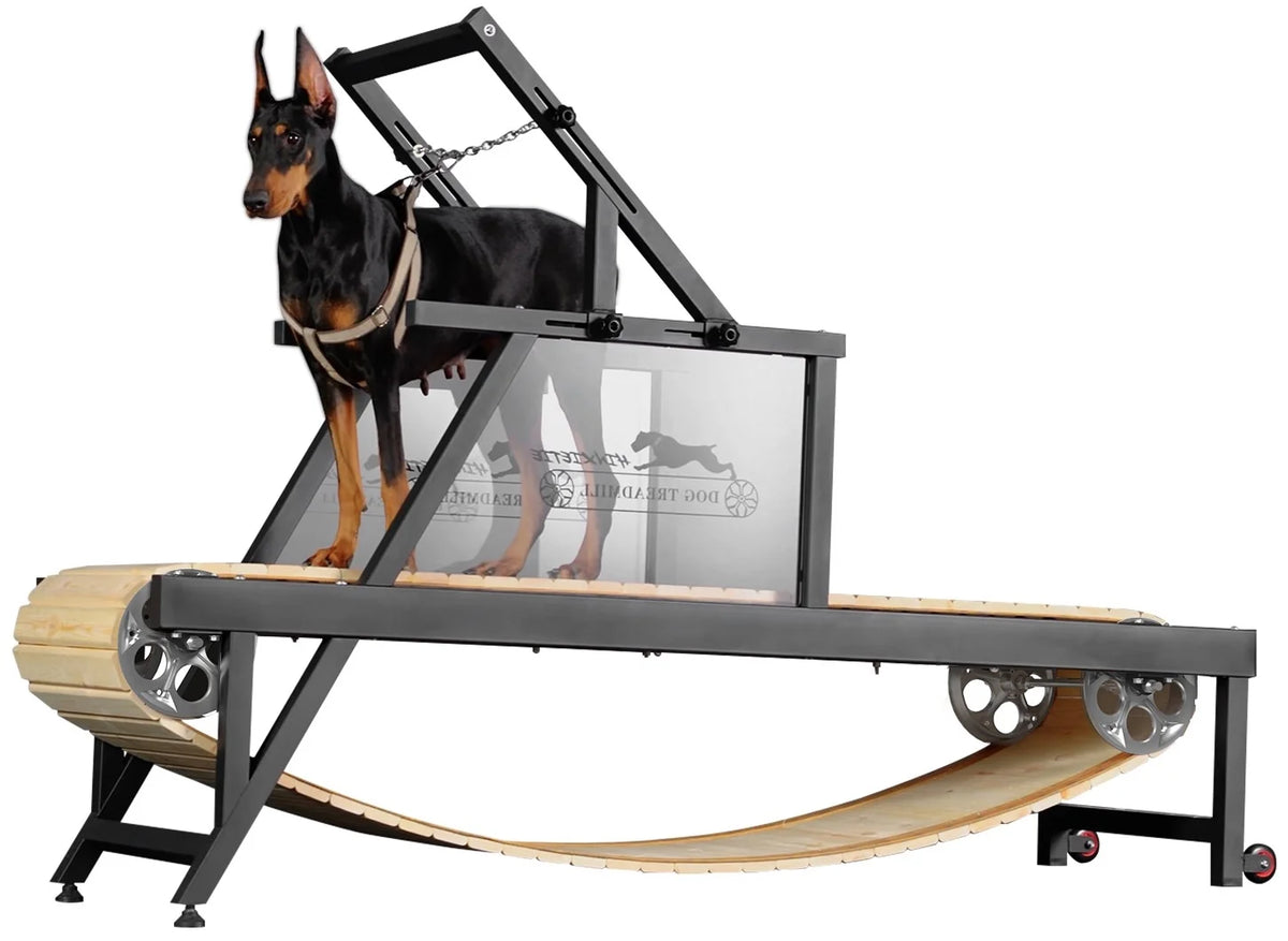 Dog Treadmill for Dogs up to 250 lb X728