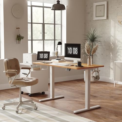 40 x 24 Inch Electric Standing Desk K878844