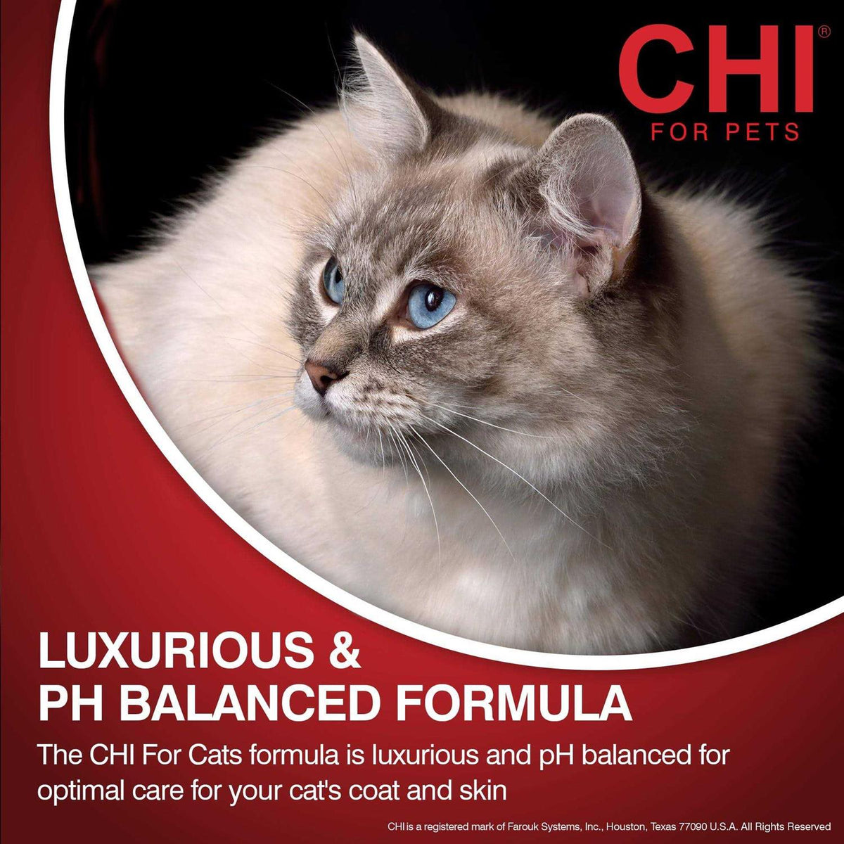 2-in-1 Conditioning Shampoo Z597752