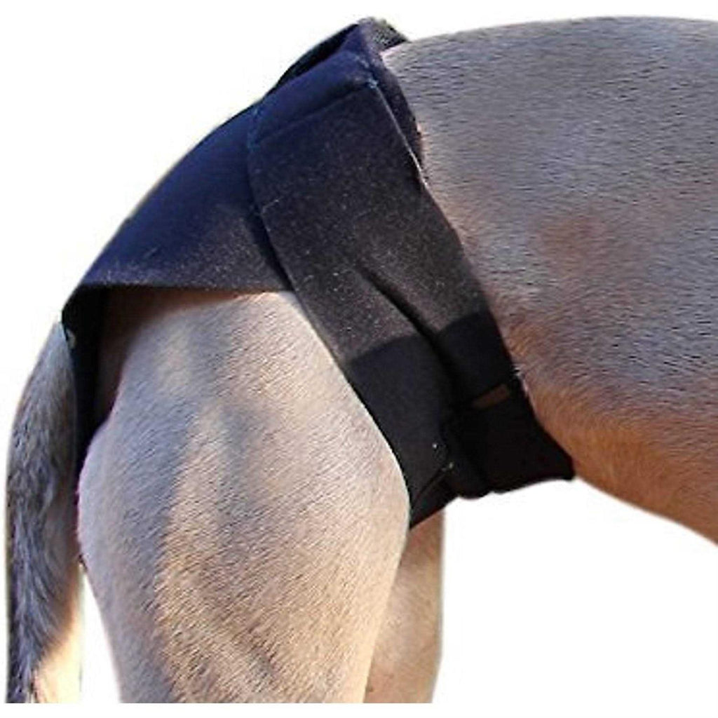 Dog Wrap Z69759
