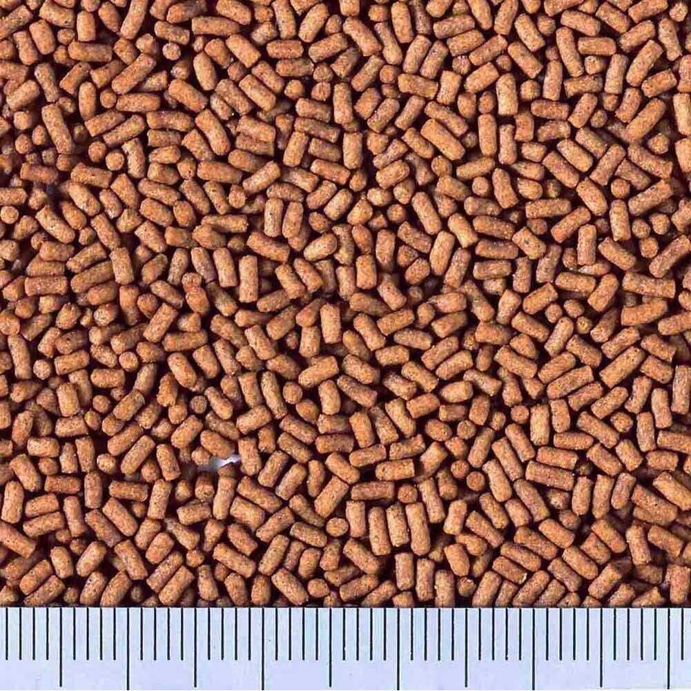 Goldfish Food 200g H750