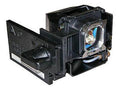 Projector Housing with OEM Bulb W317