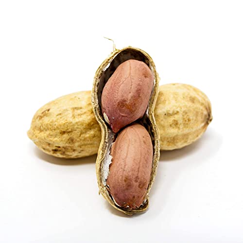 Whole in Shell Raw Peanuts 10lb R735855