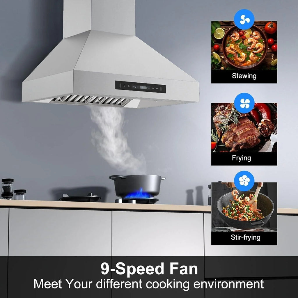 30 inch Wall Mount Range Hood Stainless Steel 900CFM 3-speeds S5146