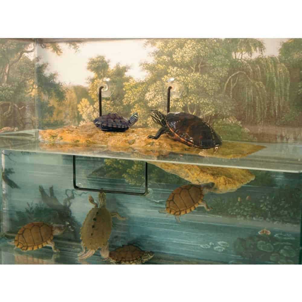 Floating Turtle Dock C187