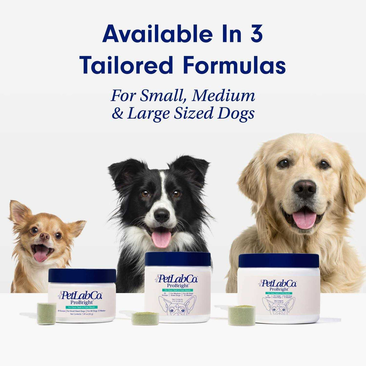 Dog Dental Powder G792734