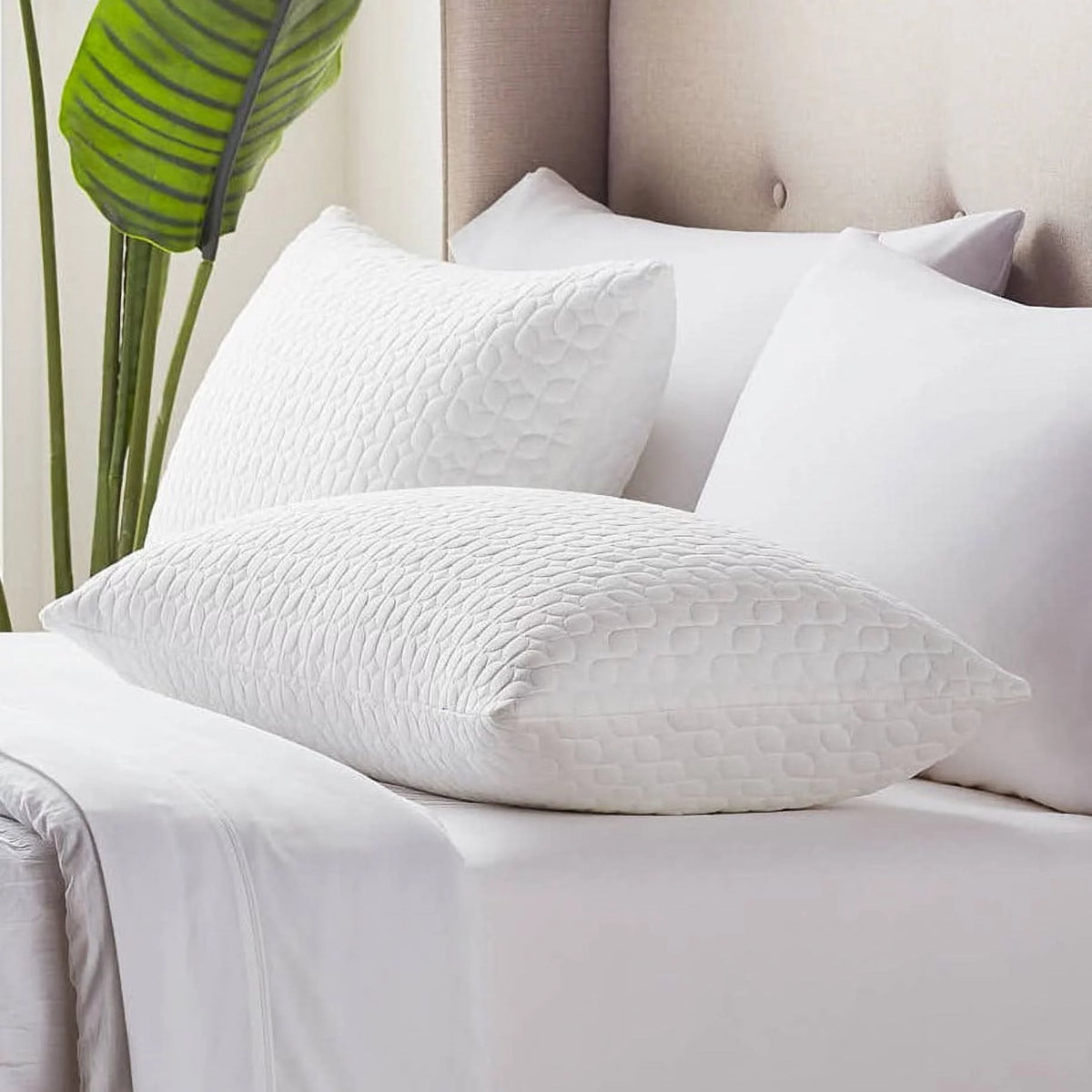 King 2 Pack Shredded Foam Bed Pillow J1149