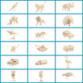 Puzzle Set X99646