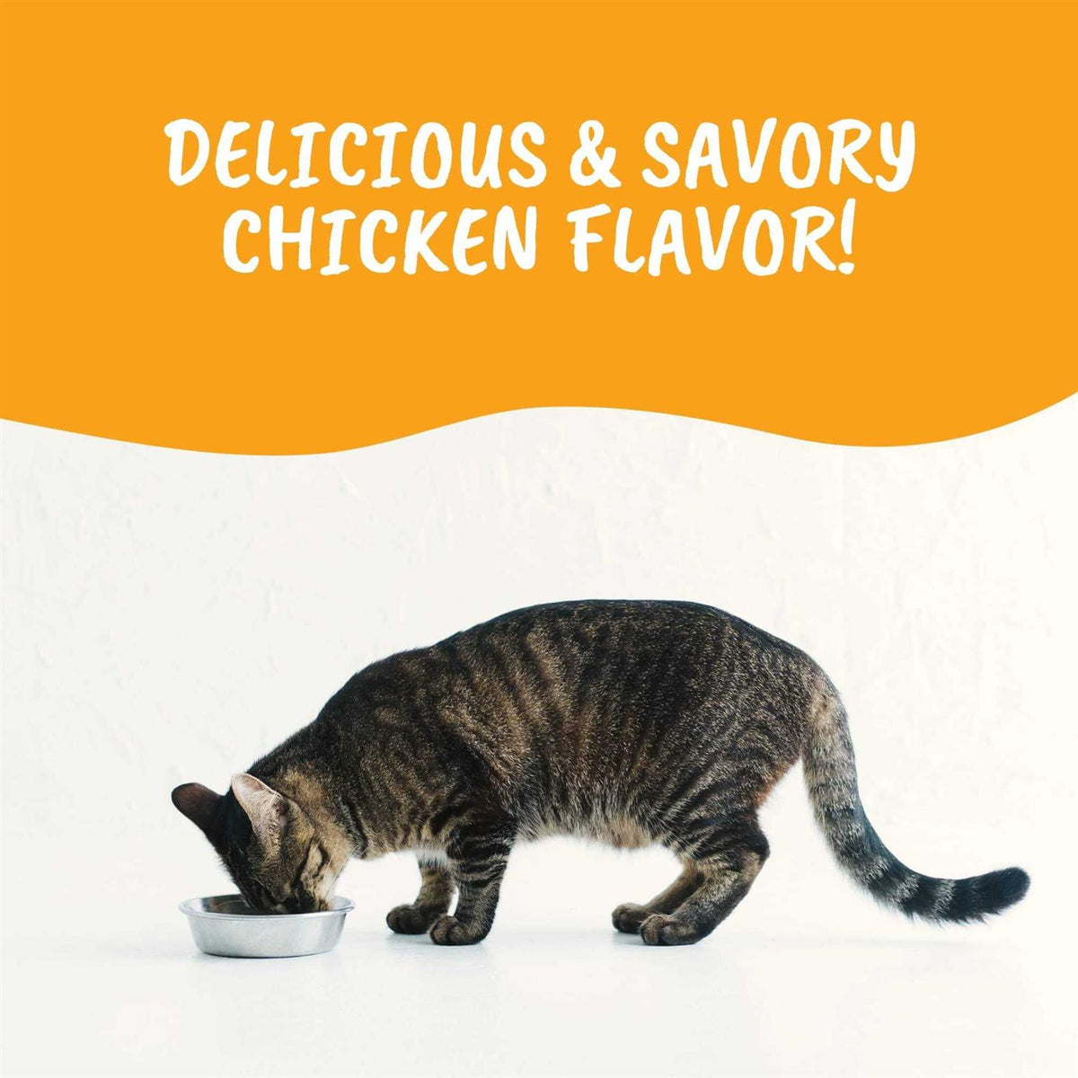 Cal Powder for Dogs F867