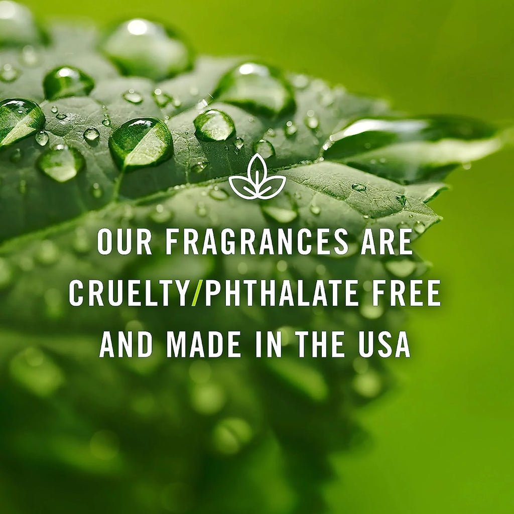 Set of 14 Fragrance Oils 10ml W828428