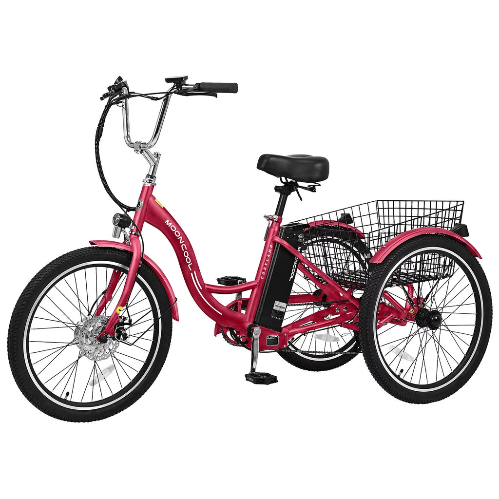 3 Wheel Electric Bike with Removable 36V 10Ah Lithium Battery Q11907