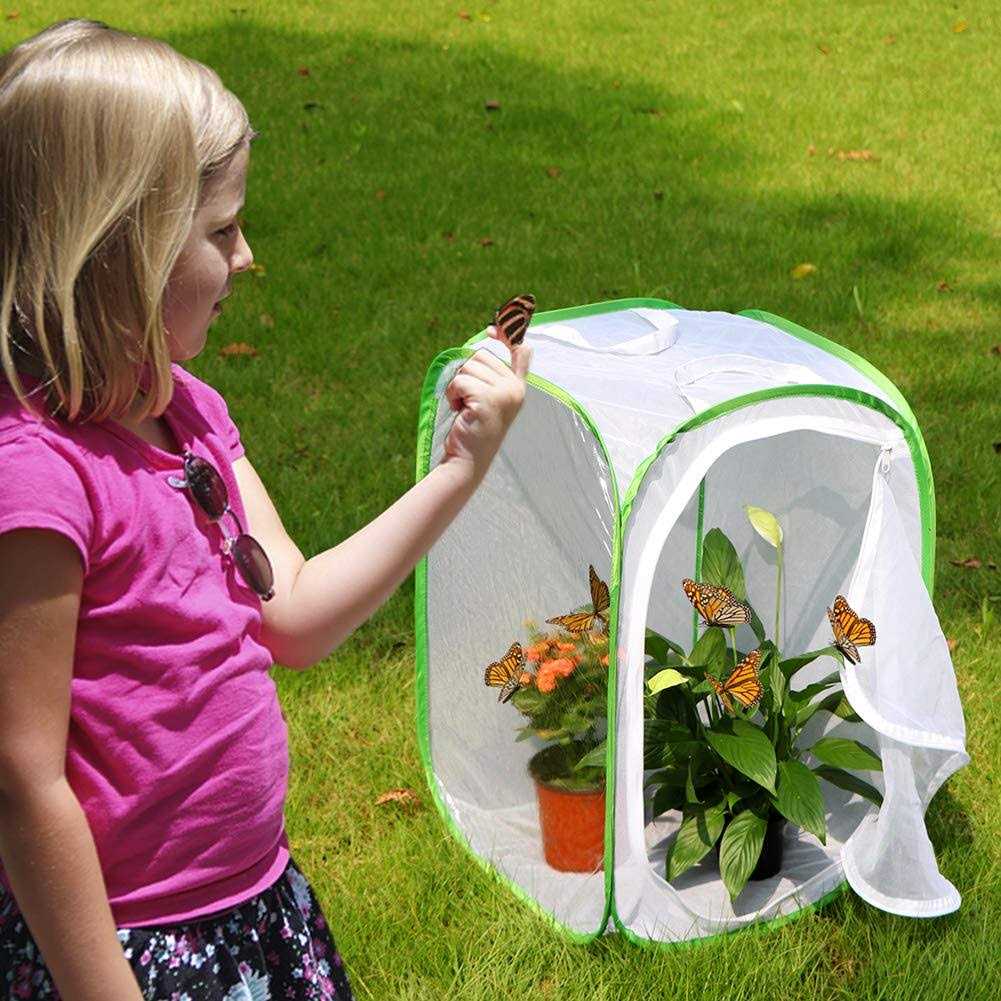Insect and Butterfly Habitat Cage Terrarium N421
