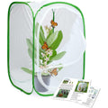 Insect and Butterfly Habitat Cage Terrarium N421