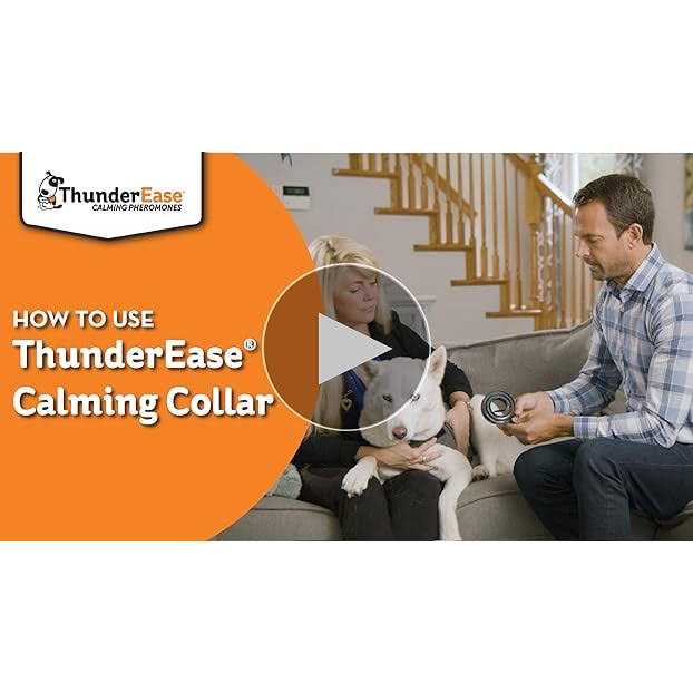 Calming Dog Collar N257
