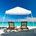10 x 10 Pop Up Canopy Tent V45296